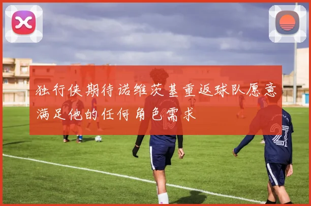 独行侠期待诺维茨基重返球队愿意满足他的任何角色需求